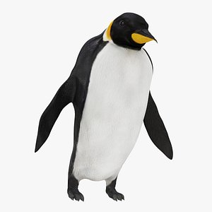 3D emperor penguin