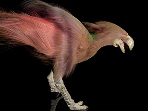 animations diatryma max