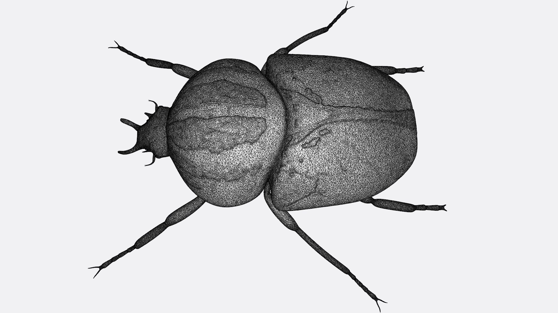Insects printable 3D model https://p.turbosquid.com/ts-thumb/aS/rWXoRw/ts/goliathbeetlew2/jpg/1789648205/1920x1080/fit_q87/f86aaf3dad9c6182edaca1f36cb9e3876fee7c68/goliathbeetlew2.jpg