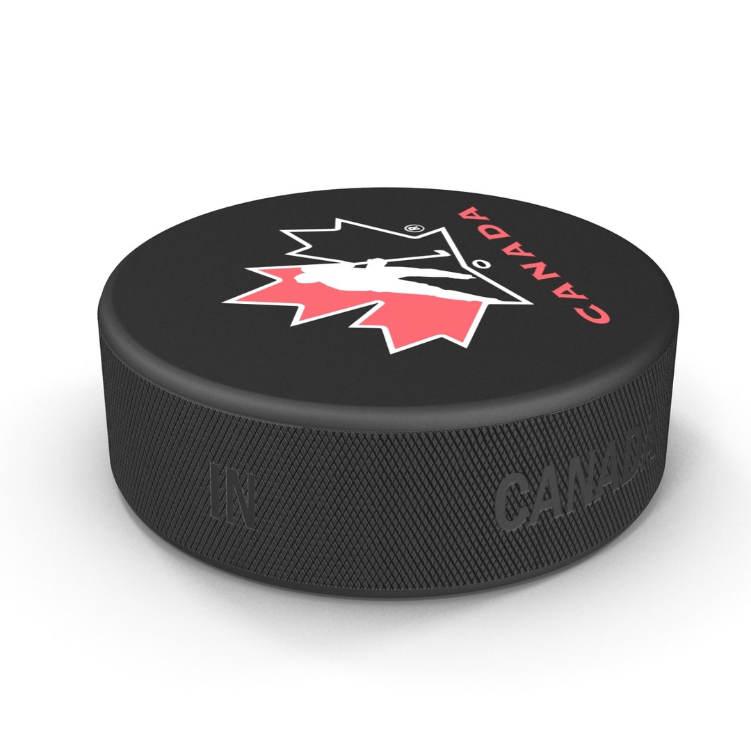 Hockey Puck 3 3D model preview