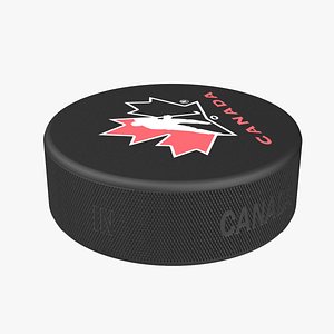 Hockey Puck 3