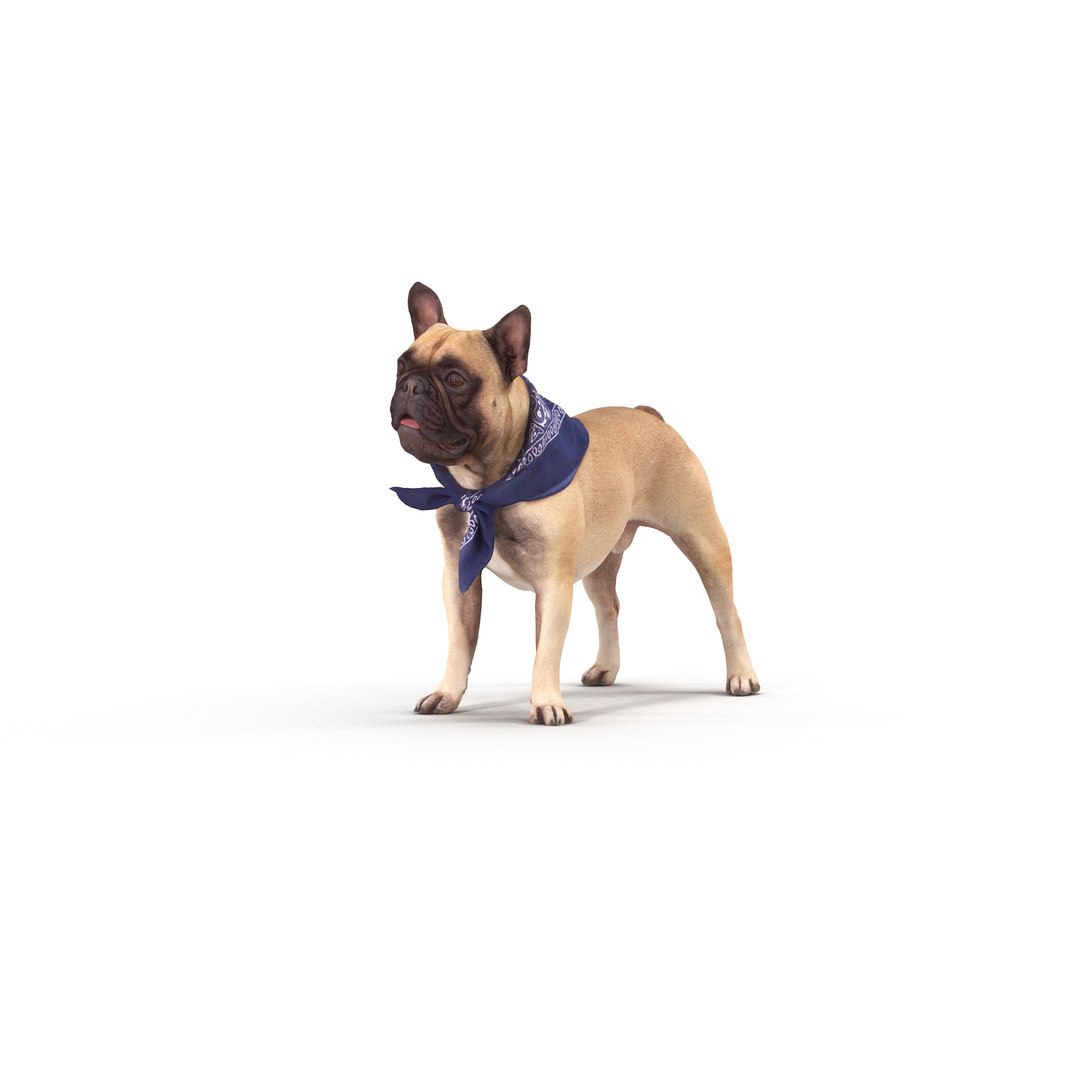 3D french bulldog https://p.turbosquid.com/ts-thumb/aS/uYkpm6/66ypaoFz/00008/jpg/1502701783/1920x1080/fit_q87/9653da1dcf07cce18d7b23abf569d09f27347c4a/00008.jpg