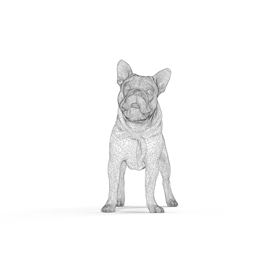3D french bulldog https://p.turbosquid.com/ts-thumb/aS/uYkpm6/N2LZAvF2/00002/jpg/1502701838/1920x1080/fit_q87/8520d787334af8ce3dbe0fabad0c65532538a288/00002.jpg