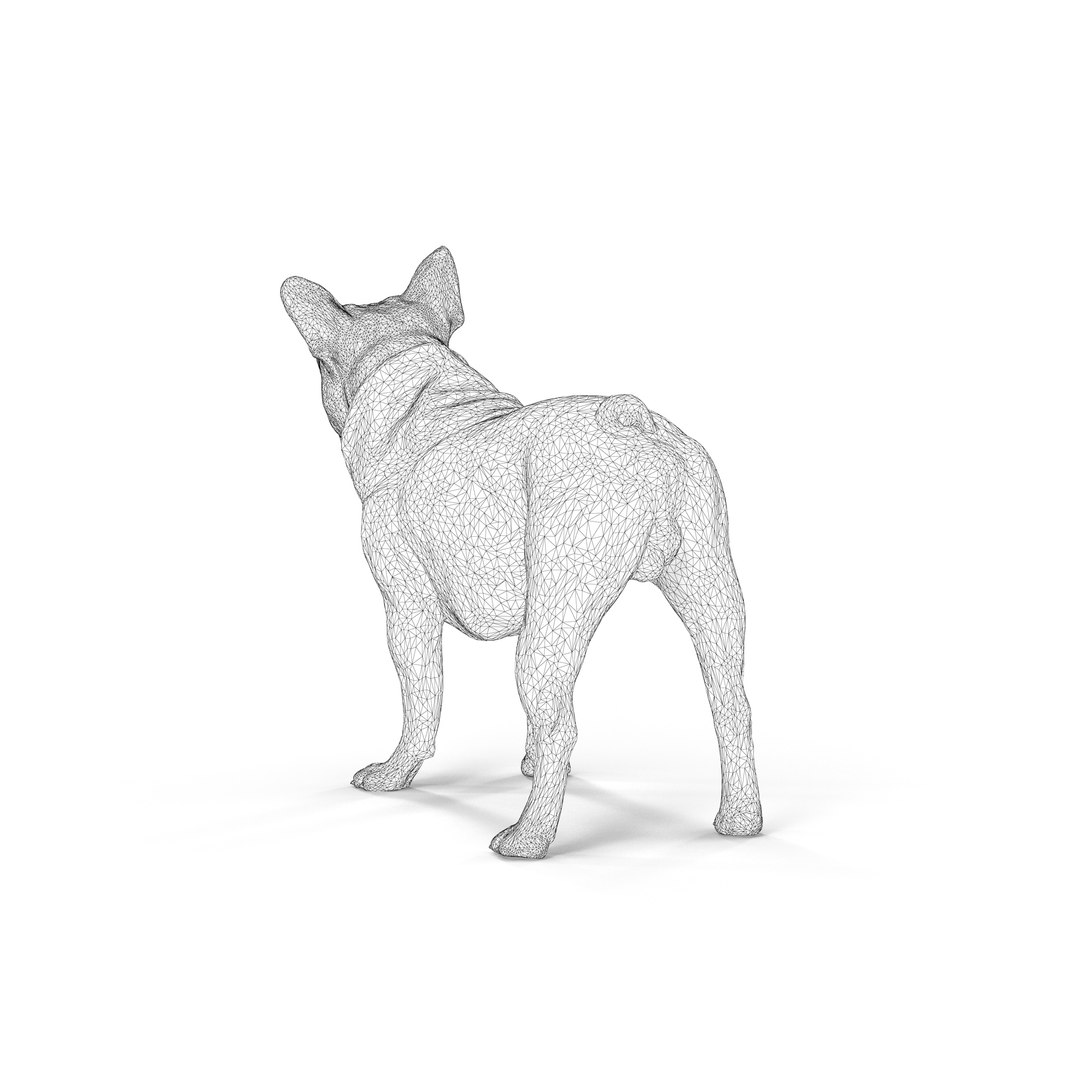3D french bulldog https://p.turbosquid.com/ts-thumb/aS/uYkpm6/OSEeWSqE/00005/jpg/1502701838/1920x1080/fit_q87/cf89d3cb5cfa4c011786bf892dd34f59f96e0efe/00005.jpg