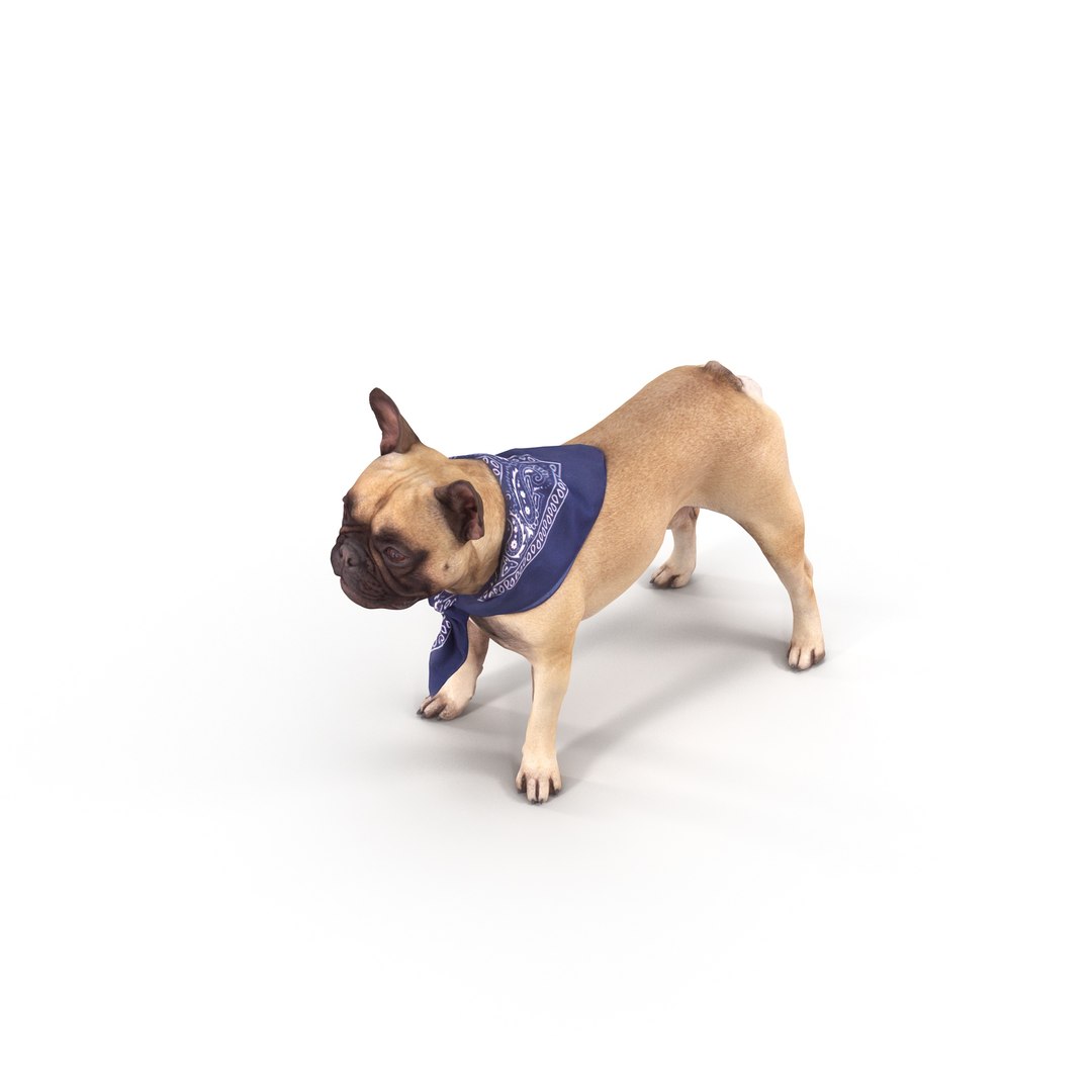 3D french bulldog https://p.turbosquid.com/ts-thumb/aS/uYkpm6/PN6ja6Sr/00010/jpg/1502701783/1920x1080/fit_q87/fba3593330db273ab88d1532256a6112e92a7159/00010.jpg
