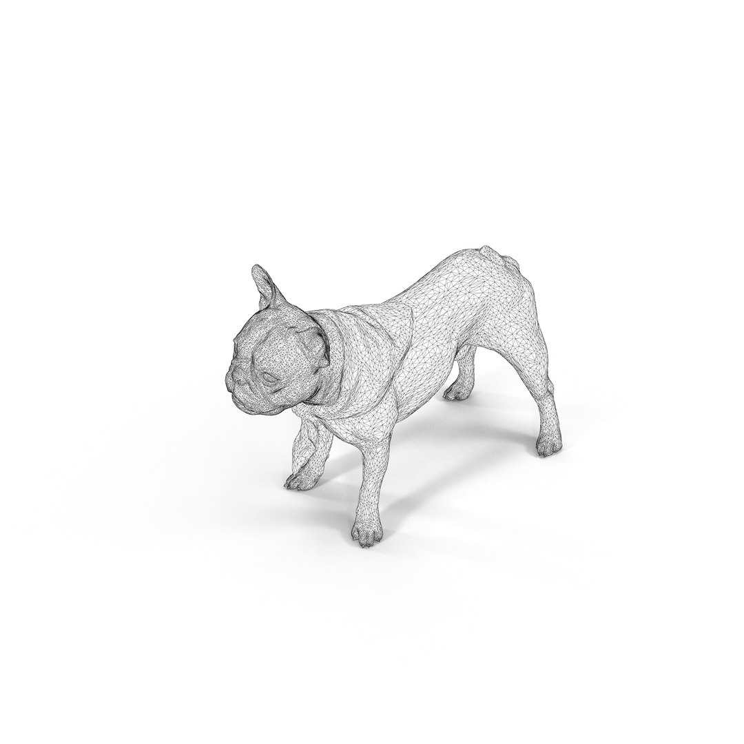 3D french bulldog https://p.turbosquid.com/ts-thumb/aS/uYkpm6/Pipkek81/00010/jpg/1502701838/1920x1080/fit_q87/e1f58d2a2858b4dce2d34fd0fdccac5716014d54/00010.jpg