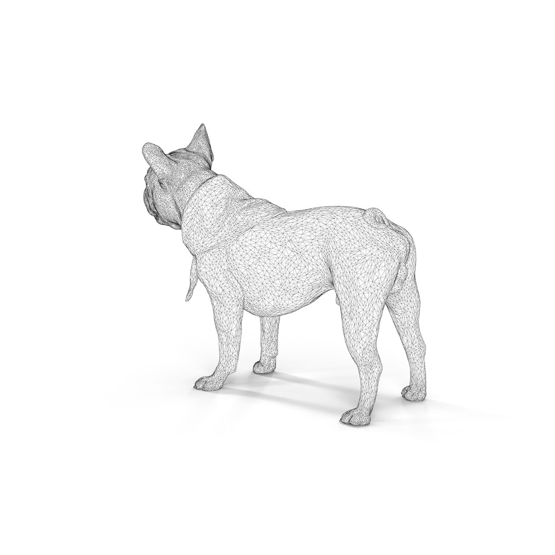 3D french bulldog https://p.turbosquid.com/ts-thumb/aS/uYkpm6/QGxvzGl8/00006/jpg/1502701838/1920x1080/fit_q87/fedf04c29c0216681908265022fc2379cf4f5254/00006.jpg