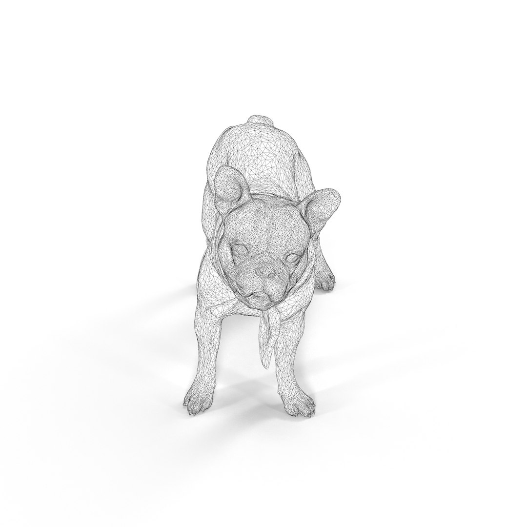 3D french bulldog https://p.turbosquid.com/ts-thumb/aS/uYkpm6/ZZybdPNd/00003/jpg/1502701838/1920x1080/fit_q87/3df6be3f024afdeb6a4d7b7eda2e9e5b6d172e63/00003.jpg
