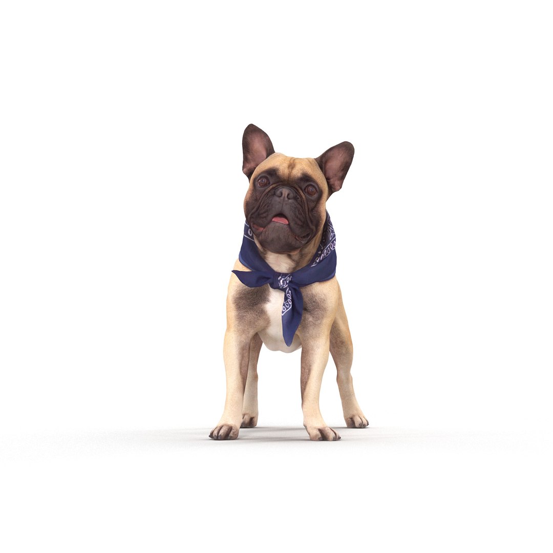 3D french bulldog https://p.turbosquid.com/ts-thumb/aS/uYkpm6/cLakBltt/00002/jpg/1502701782/1920x1080/fit_q87/3a53021103f0ce7c075dfe87addaa18c9f4ee367/00002.jpg