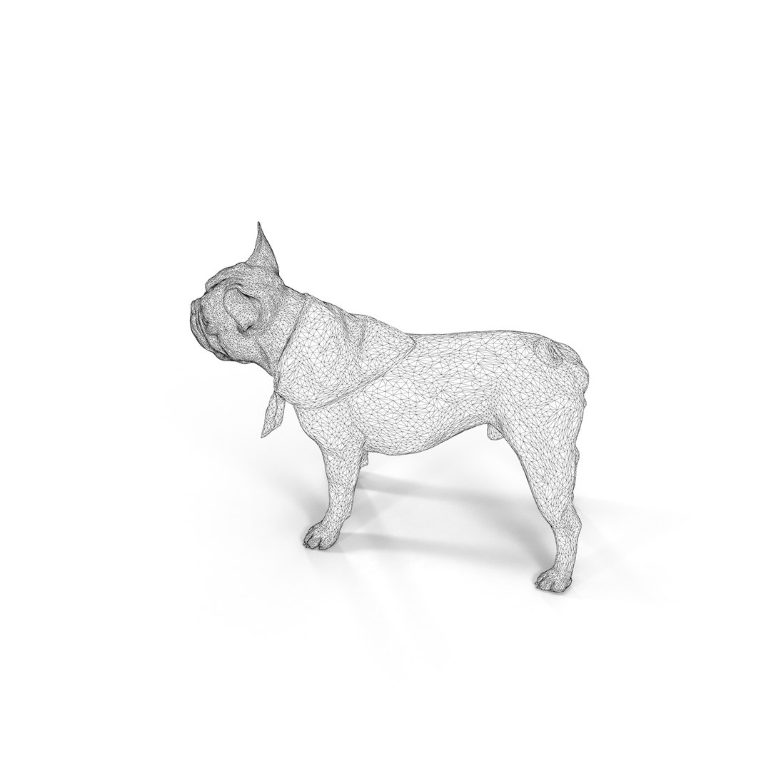 3D french bulldog https://p.turbosquid.com/ts-thumb/aS/uYkpm6/hm1yqooy/00011/jpg/1502701838/1920x1080/fit_q87/43ca7fed39fb8a499eac3017899c7b1abd1dcd9e/00011.jpg