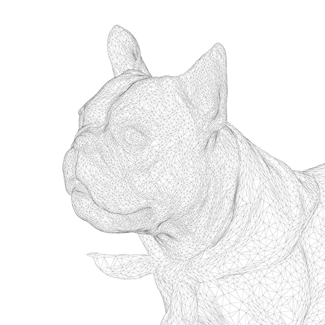 3D french bulldog https://p.turbosquid.com/ts-thumb/aS/uYkpm6/iiW6L4J5/00004/jpg/1502701838/1920x1080/fit_q87/e0d8098599e779ff1ef6359fdc216091e808832c/00004.jpg