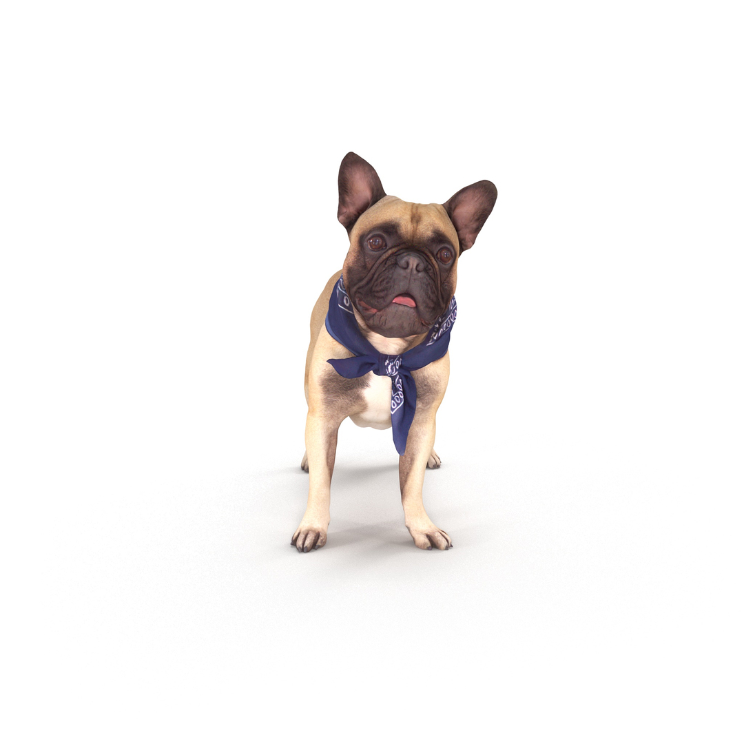3D french bulldog https://p.turbosquid.com/ts-thumb/aS/uYkpm6/v392NvaN/00000/jpg/1502701842/1920x1080/turn_fit_q99/b72158285bd2afb446bb9a1cb5943164517dc855/00000-1.jpg