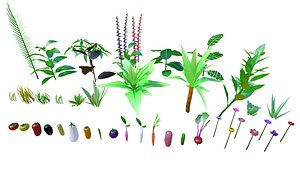 Vegetation and Vegetables 3D
