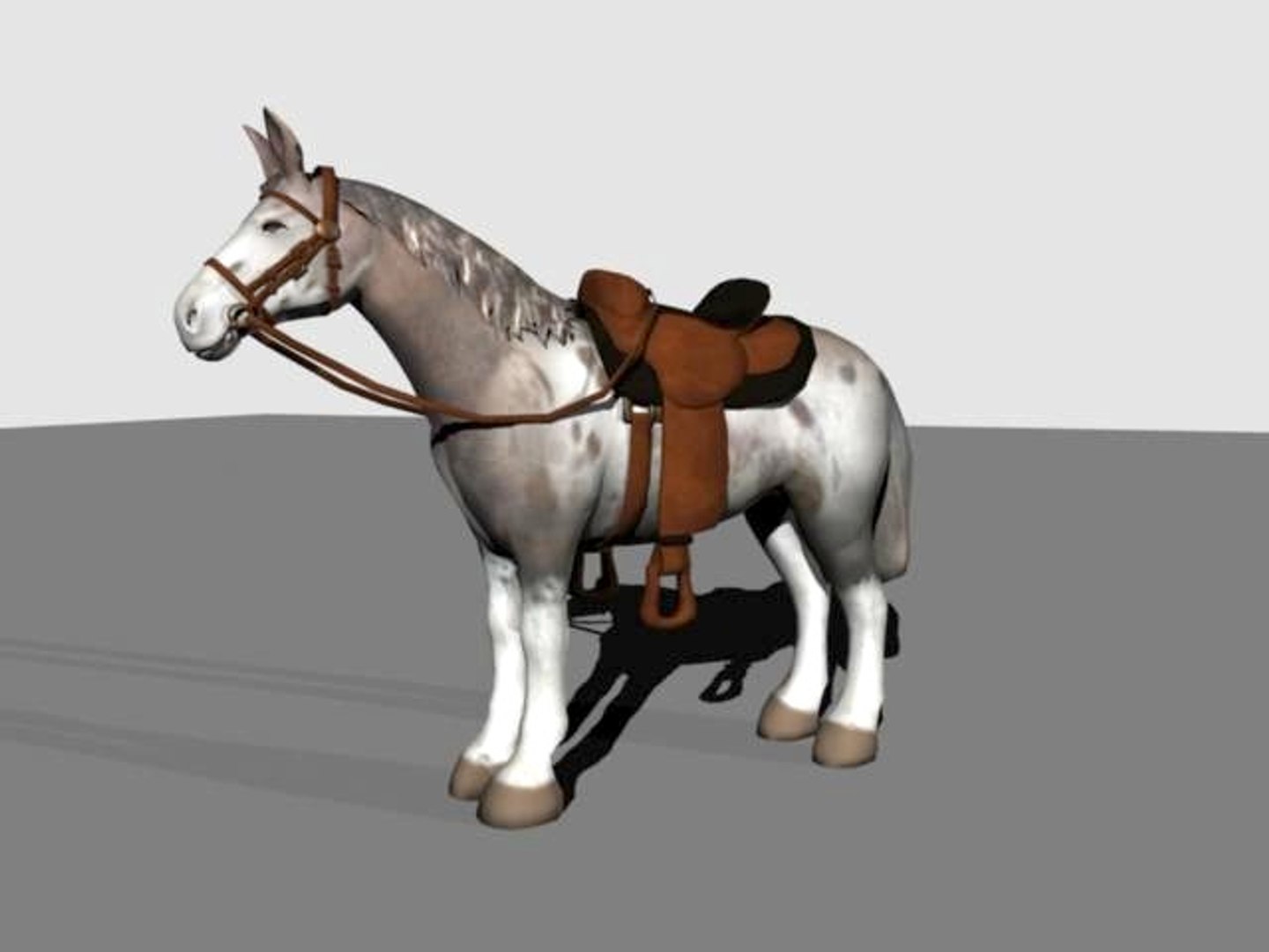 The Maya Mule