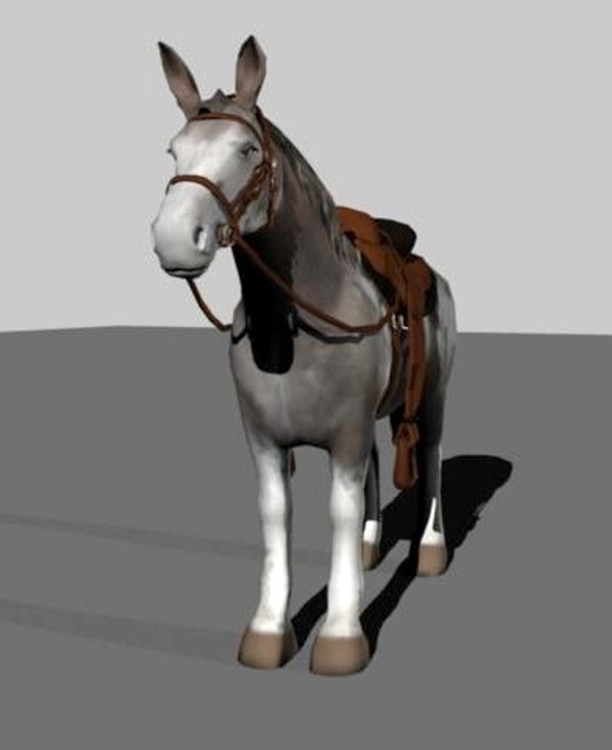 Maya Polygonal Mule Horse