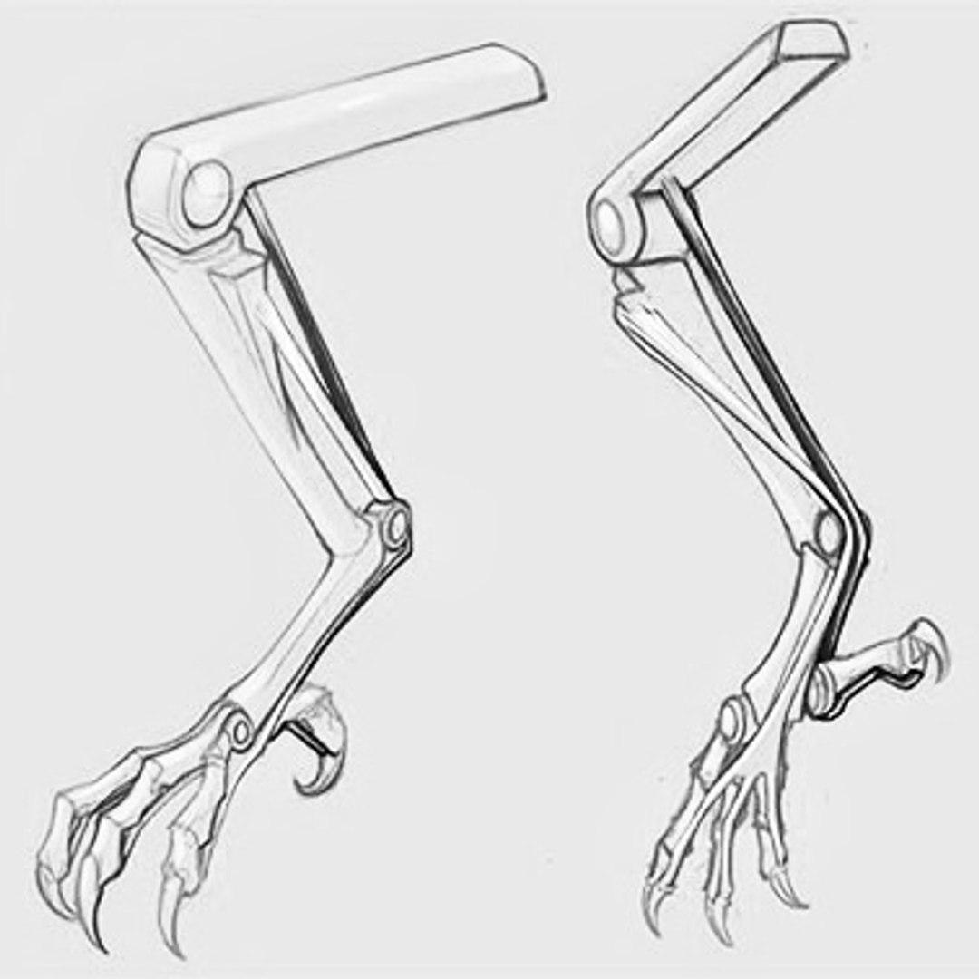 3D XTI PASSIVE LOCKING EXOSKELETON KNEE Model TurboSquid 2031669