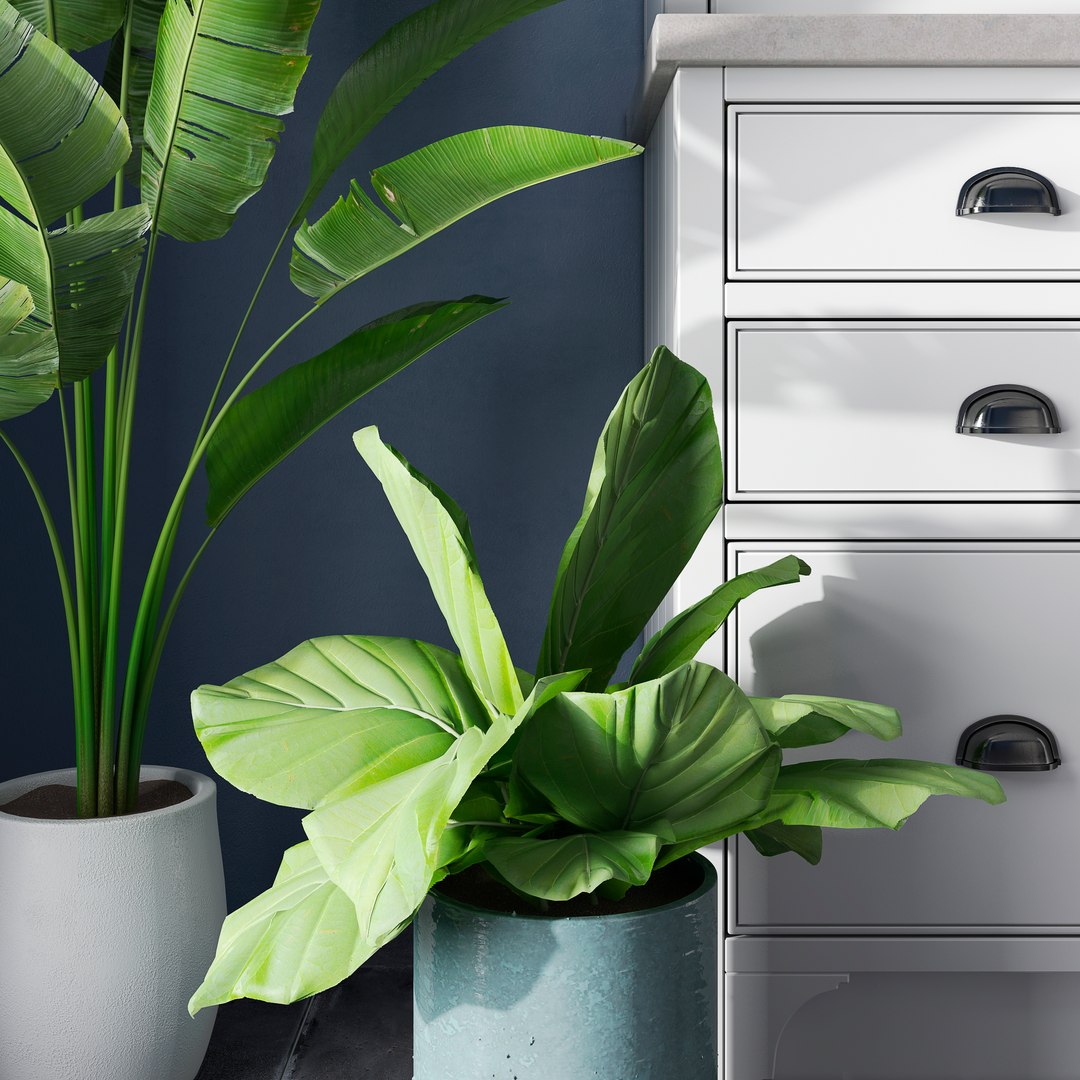 scene ready render 3D https://p.turbosquid.com/ts-thumb/aT/ZkkGg8/XC2vD308/rakurs_20/jpg/1564486844/1920x1080/fit_q87/f220dd80962ecced3b86ace8bcd48ab9d692d5f3/rakurs_20.jpg