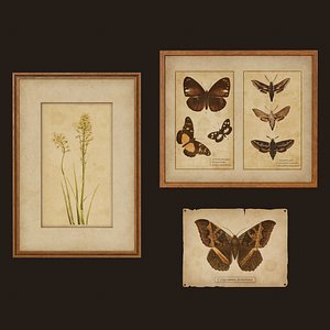 Old Picture Frames - PBR Game Ready