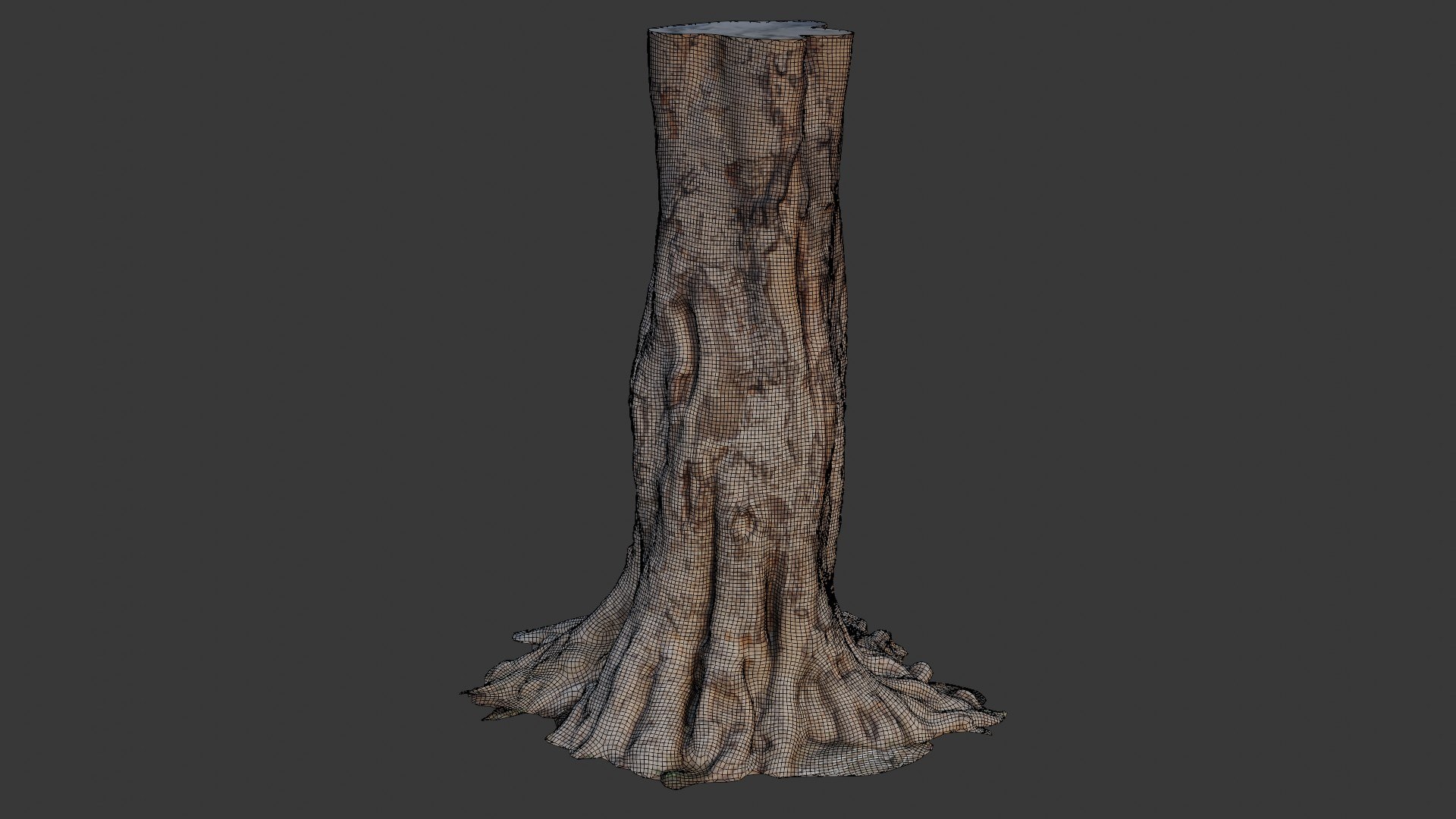 3D Tree Trunk With Roots Scan Model - TurboSquid 2434500