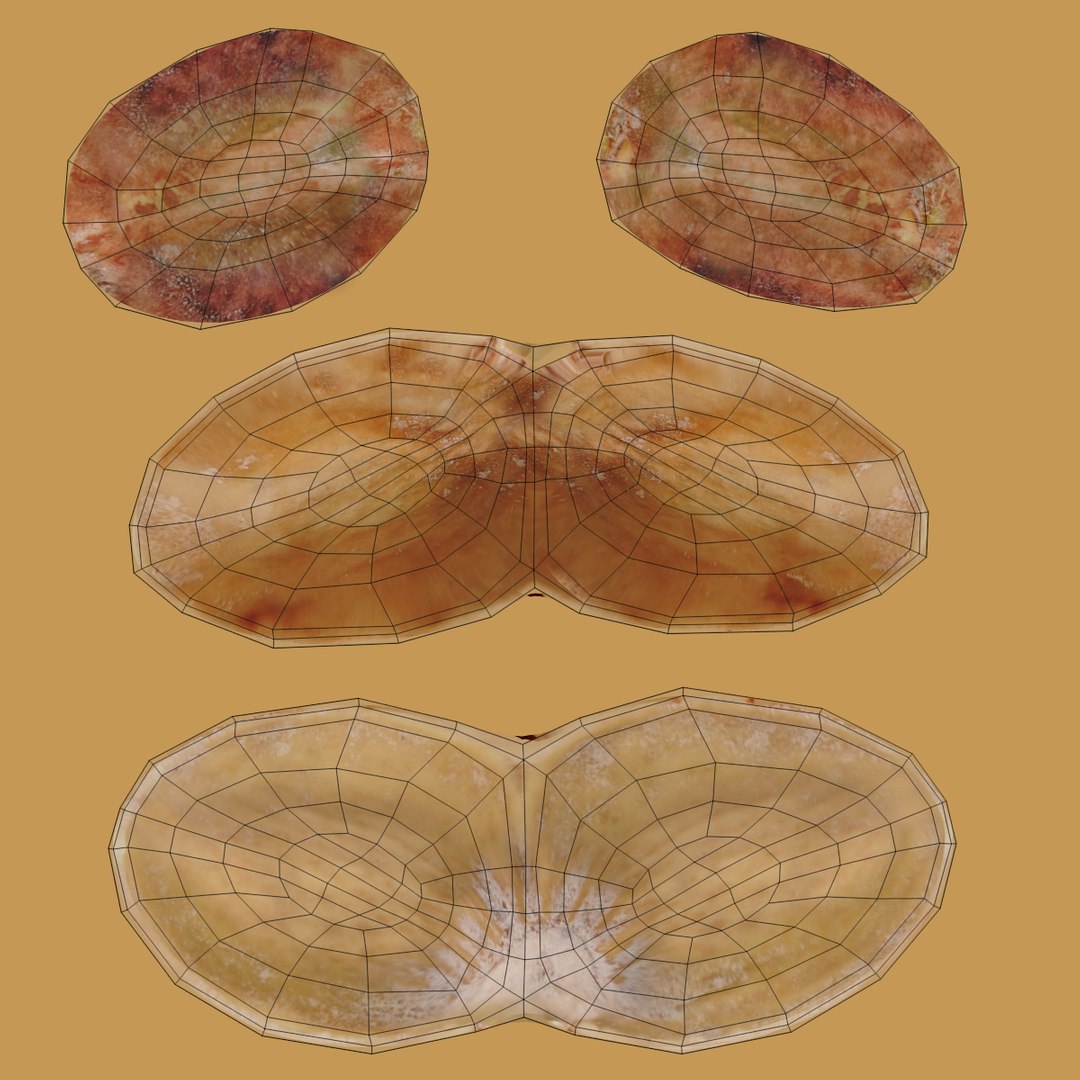 nuts large 3D https://p.turbosquid.com/ts-thumb/aT/om3e4z/xIV5elnh/nutsuvpistachiouv/png/1551527722/1920x1080/fit_q87/acfb43ccb18c07c5be0c9a5bd3ceef5287100f9d/nutsuvpistachiouv.jpg