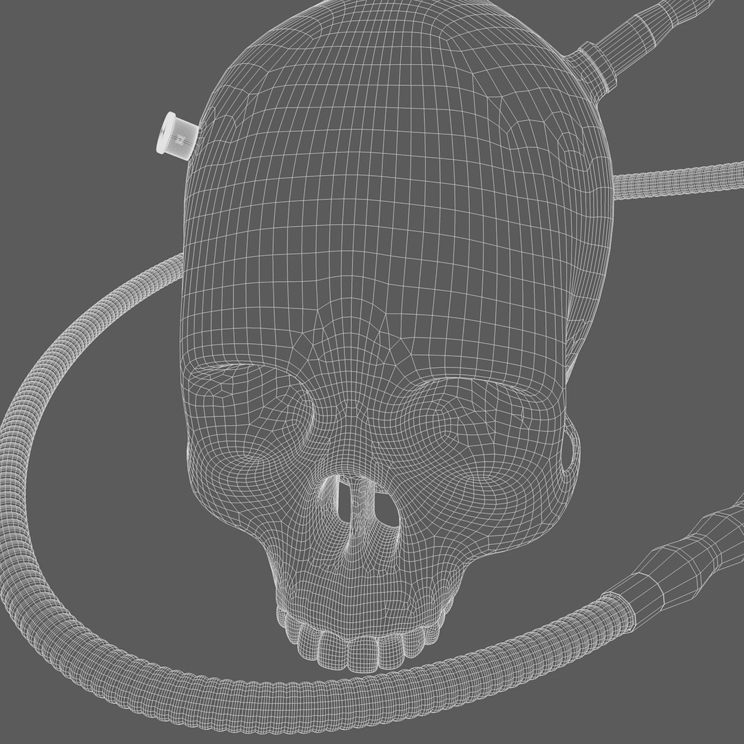 3d model hookah chicha glassskull https://p.turbosquid.com/ts-thumb/aT/t7mDwp/qmJXdorJ/hookahchichaheadskull4/jpg/1479361872/1920x1080/fit_q87/f06f69356b1faad0ba829ef610a1bb7635782f44/hookahchichaheadskull4.jpg