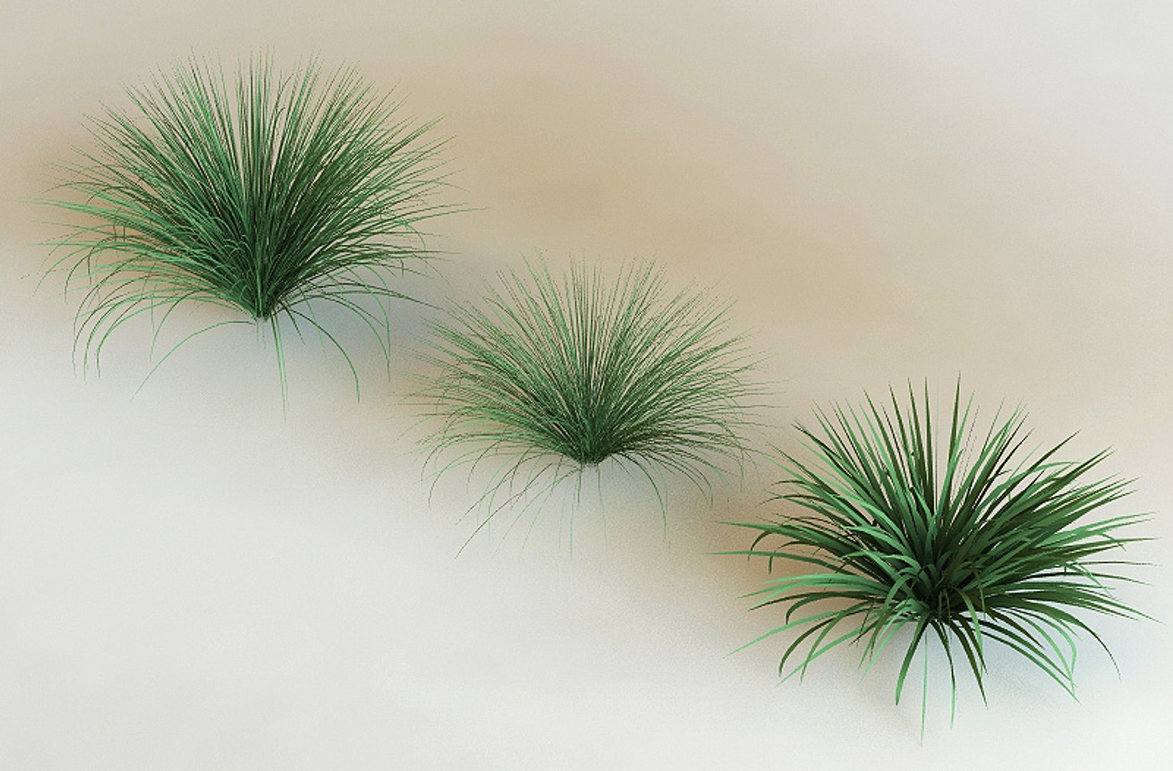 big plants collections 3d max https://p.turbosquid.com/ts-thumb/aT/u6cS9J/04A4buvc/tripsacum_dactyloides0000/jpg/1223709883/1920x1080/fit_q87/b4721628931b0cc1047fc4dd752fd1e2e4747ae8/tripsacum_dactyloides0000.jpg