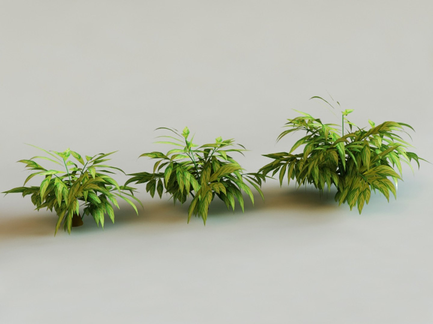 big plants collections 3d max https://p.turbosquid.com/ts-thumb/aT/u6cS9J/3aGEVYJW/alpinia_zerumbet000/jpg/1223707531/1920x1080/fit_q87/0947fbfe578f741a945c509b0e161916f1afa6db/alpinia_zerumbet000.jpg