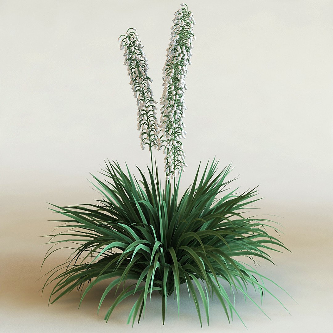 big plants collections 3d max https://p.turbosquid.com/ts-thumb/aT/u6cS9J/78lqjXdi/yucca_filamentosa0/jpg/1223709895/1920x1080/fit_q87/d793825a87813f757e68eb47272b0ccab3b8d62e/yucca_filamentosa0.jpg