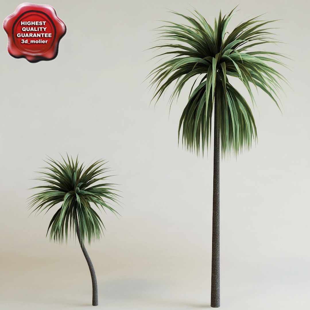 big plants collections 3d max https://p.turbosquid.com/ts-thumb/aT/u6cS9J/E4T66CqJ/cordyline_australis_0/jpg/1223708064/1920x1080/fit_q87/fabde85c907c1a7452311793779bb6a51c0712e1/cordyline_australis_0.jpg