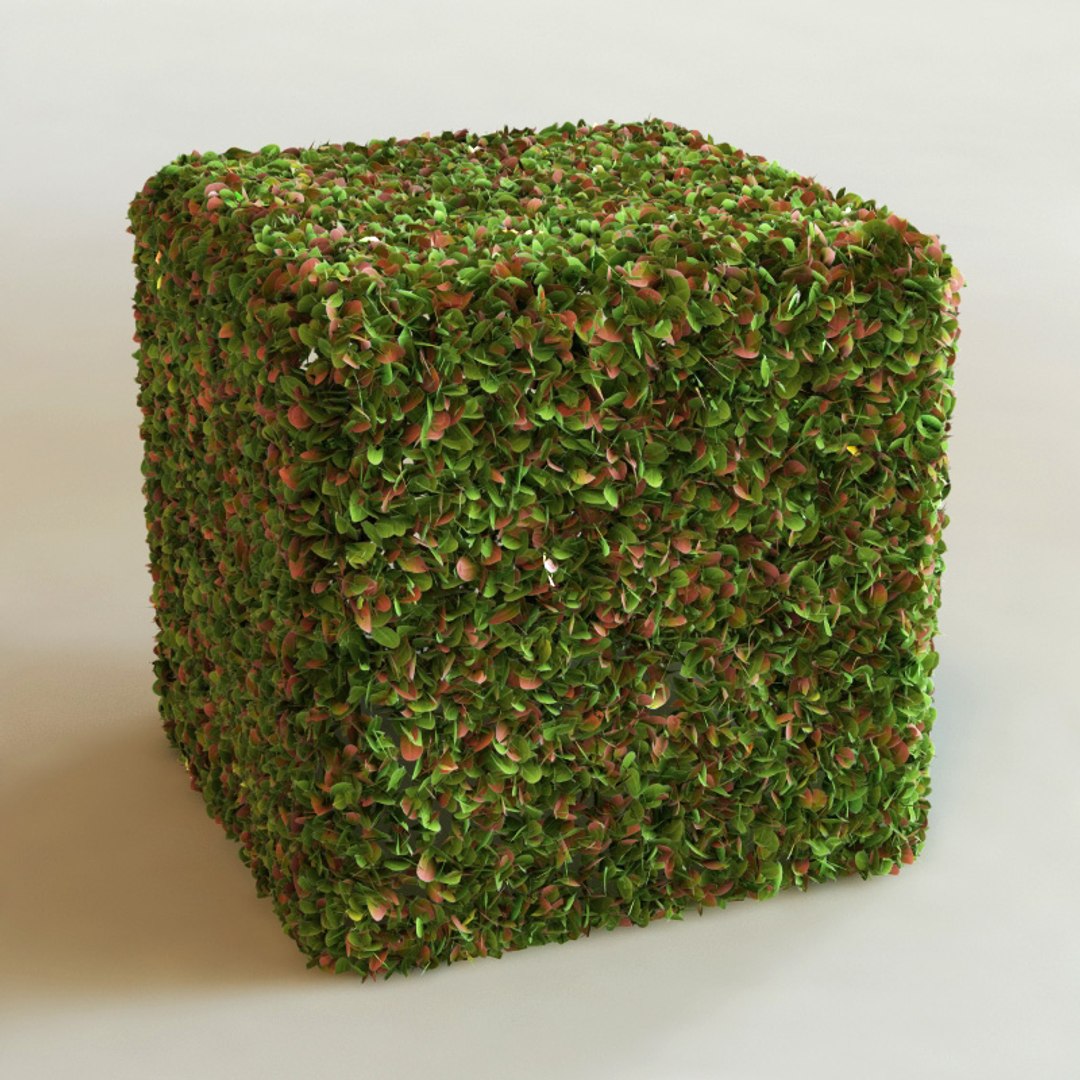 big plants collections 3d max https://p.turbosquid.com/ts-thumb/aT/u6cS9J/J6SDN8n7/chrysobalanus_icaco03/jpg/1223707887/1920x1080/fit_q87/7d612d3d50dd9083b63d34fd56d5ae52c37826ce/chrysobalanus_icaco03.jpg