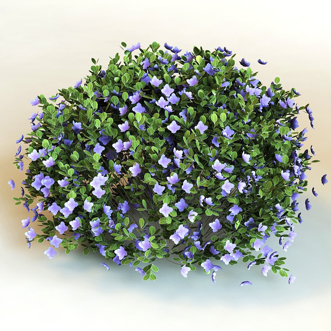 big plants collections 3d max https://p.turbosquid.com/ts-thumb/aT/u6cS9J/VKKArt2H/rp0000/jpg/1223709729/1920x1080/fit_q87/857562133c0f9573b26ad734ce9430255de57a73/rp0000.jpg