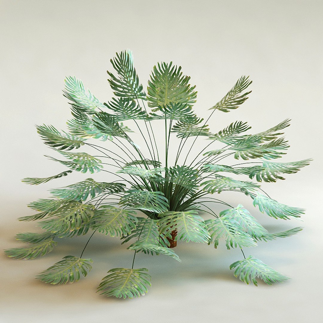 big plants collections 3d max https://p.turbosquid.com/ts-thumb/aT/u6cS9J/W1CH2YqB/philiodendron_bipinnatifidum/jpg/1223709580/1920x1080/fit_q87/5b65239841f240873fb1243e3c788783e572b8f8/philiodendron_bipinnatifidum.jpg