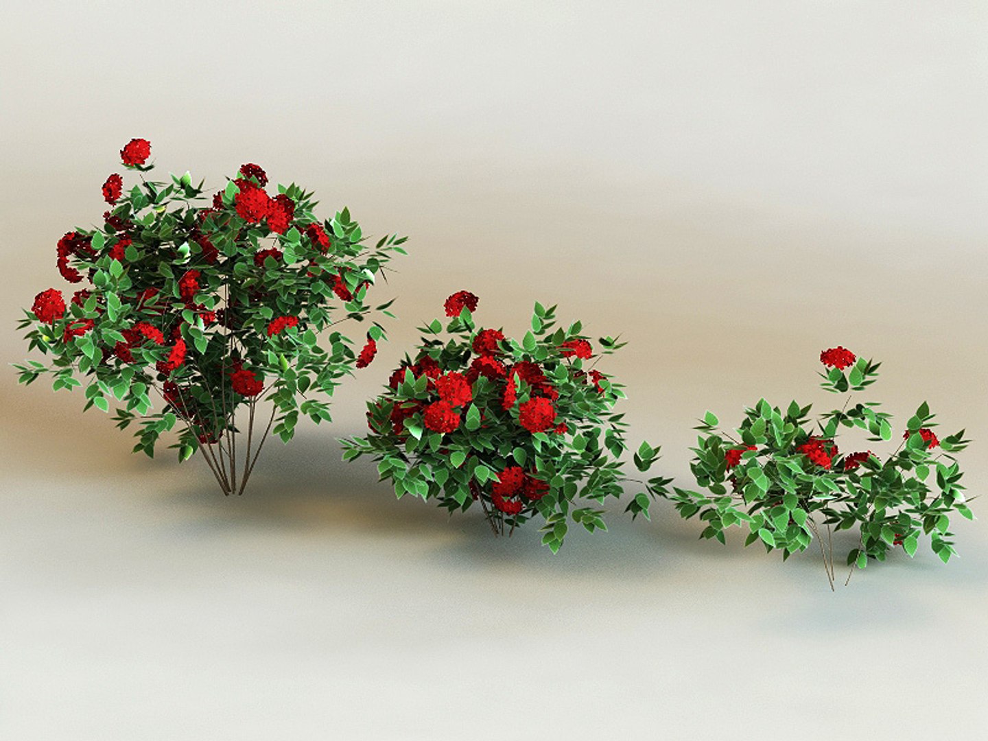 big plants collections 3d max https://p.turbosquid.com/ts-thumb/aT/u6cS9J/adRh3P20/irora_petite/jpg/1223709091/1920x1080/fit_q87/e9d1712e55b212ef0f4e449d912fa14121b7f6ec/irora_petite.jpg