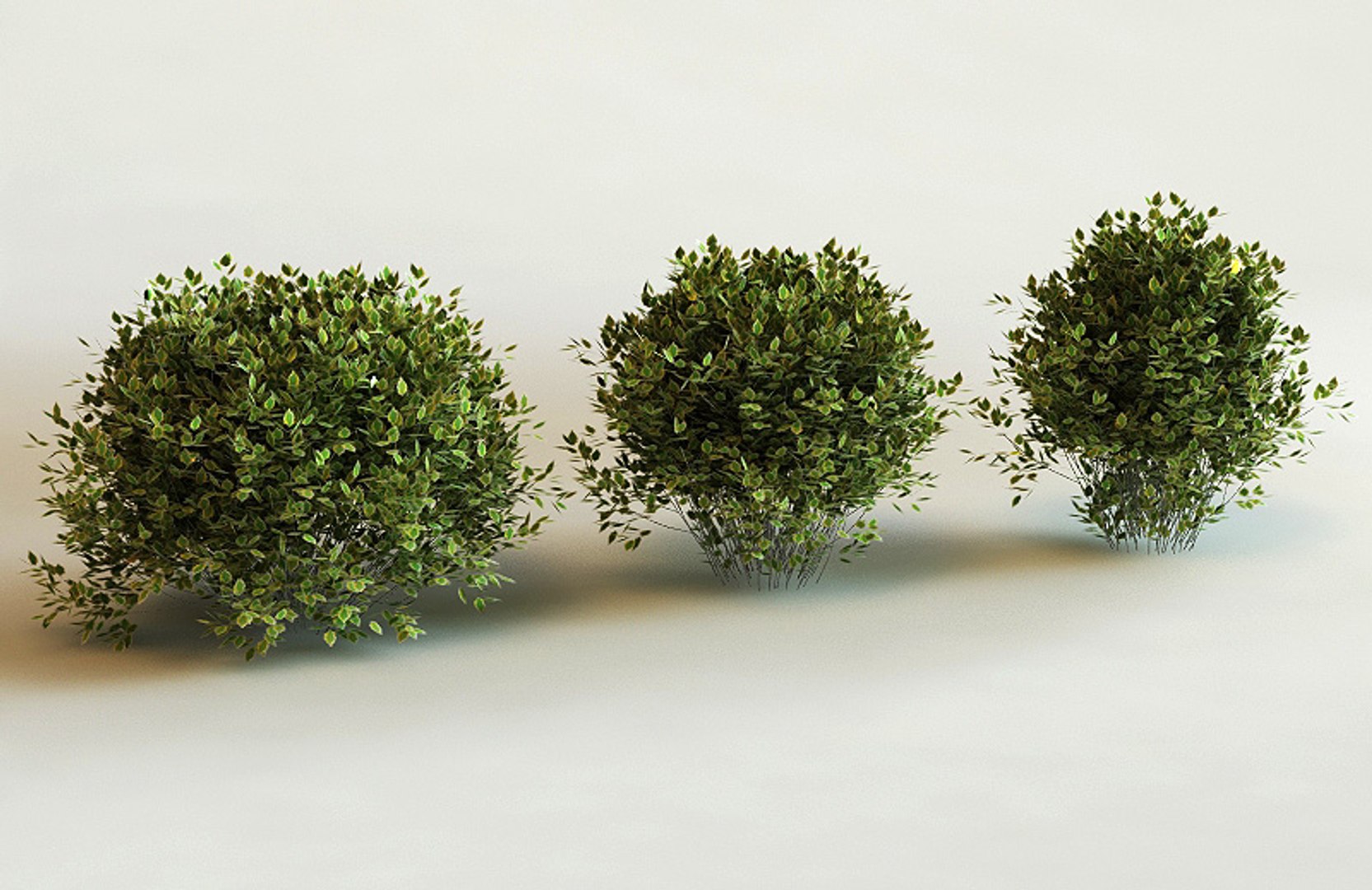 big plants collections 3d max https://p.turbosquid.com/ts-thumb/aT/u6cS9J/dZZvFng2/duranta_erecta0000/jpg/1223708074/1920x1080/fit_q87/dae2a266840a15a6c17b2e2523bbce43dab22244/duranta_erecta0000.jpg
