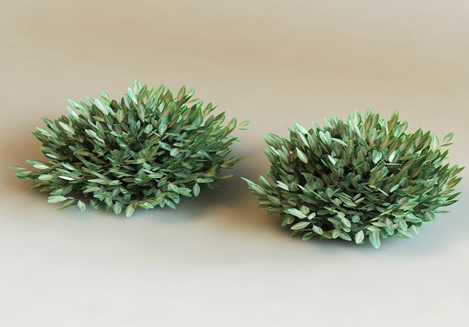 big plants collections 3d max https://p.turbosquid.com/ts-thumb/aT/u6cS9J/fx1IcJgb/eunymusfortunei0000/jpg/1223708077/1920x1080/fit_q87/2ae2cda6c61c55cf703c97374cd8c59337e54ea1/eunymusfortunei0000.jpg