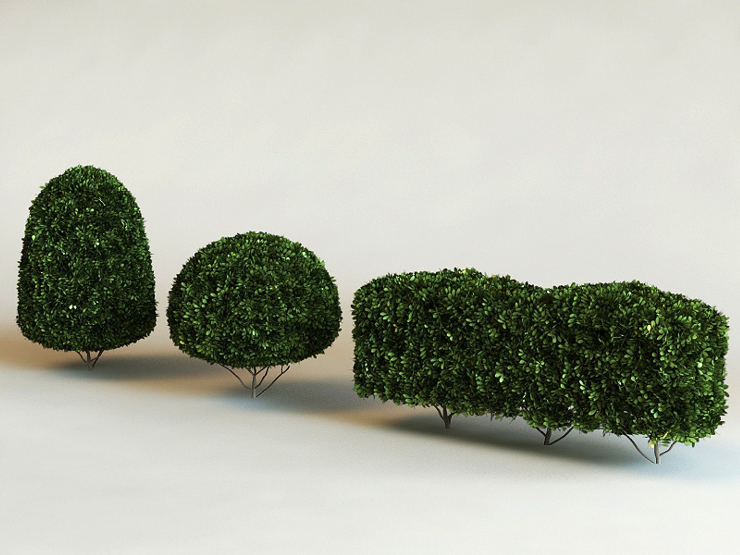 big plants collections 3d max https://p.turbosquid.com/ts-thumb/aT/u6cS9J/jrWh18Eb/buxus_microphylla/jpg/1223707872/1920x1080/fit_q87/257ddd150bfe71daf7a18599add7998708853537/buxus_microphylla.jpg