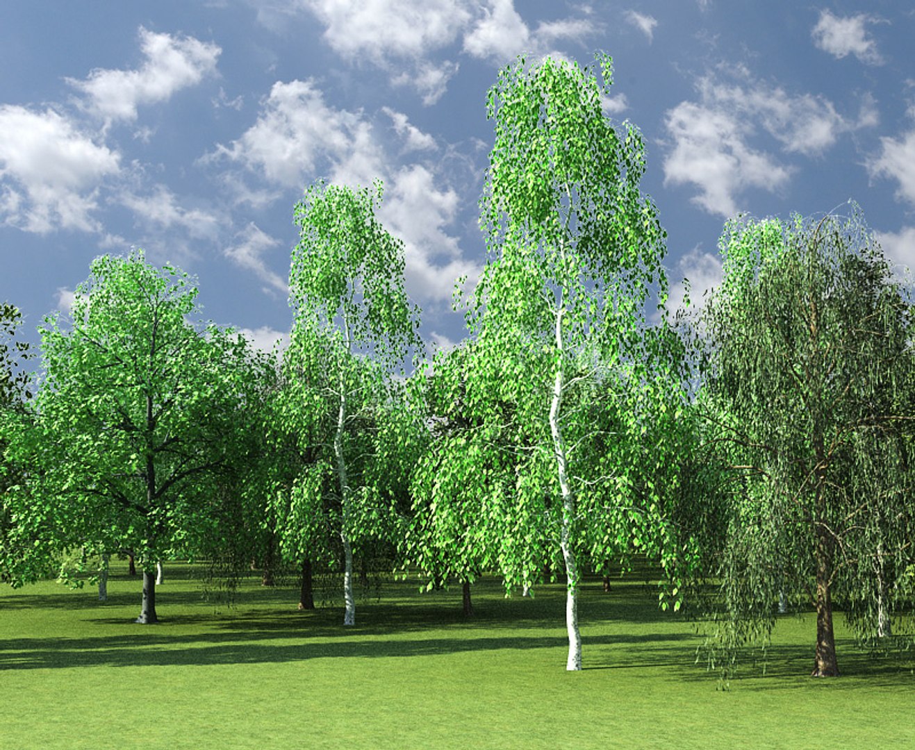 big plants collections 3d max https://p.turbosquid.com/ts-thumb/aT/u6cS9J/qZcKtsLl/trees_collection_v1_10003copy/jpg/1223709873/1920x1080/fit_q87/bab73442202ddc2b0961e6f8404dfe723a54c07e/trees_collection_v1_10003copy.jpg