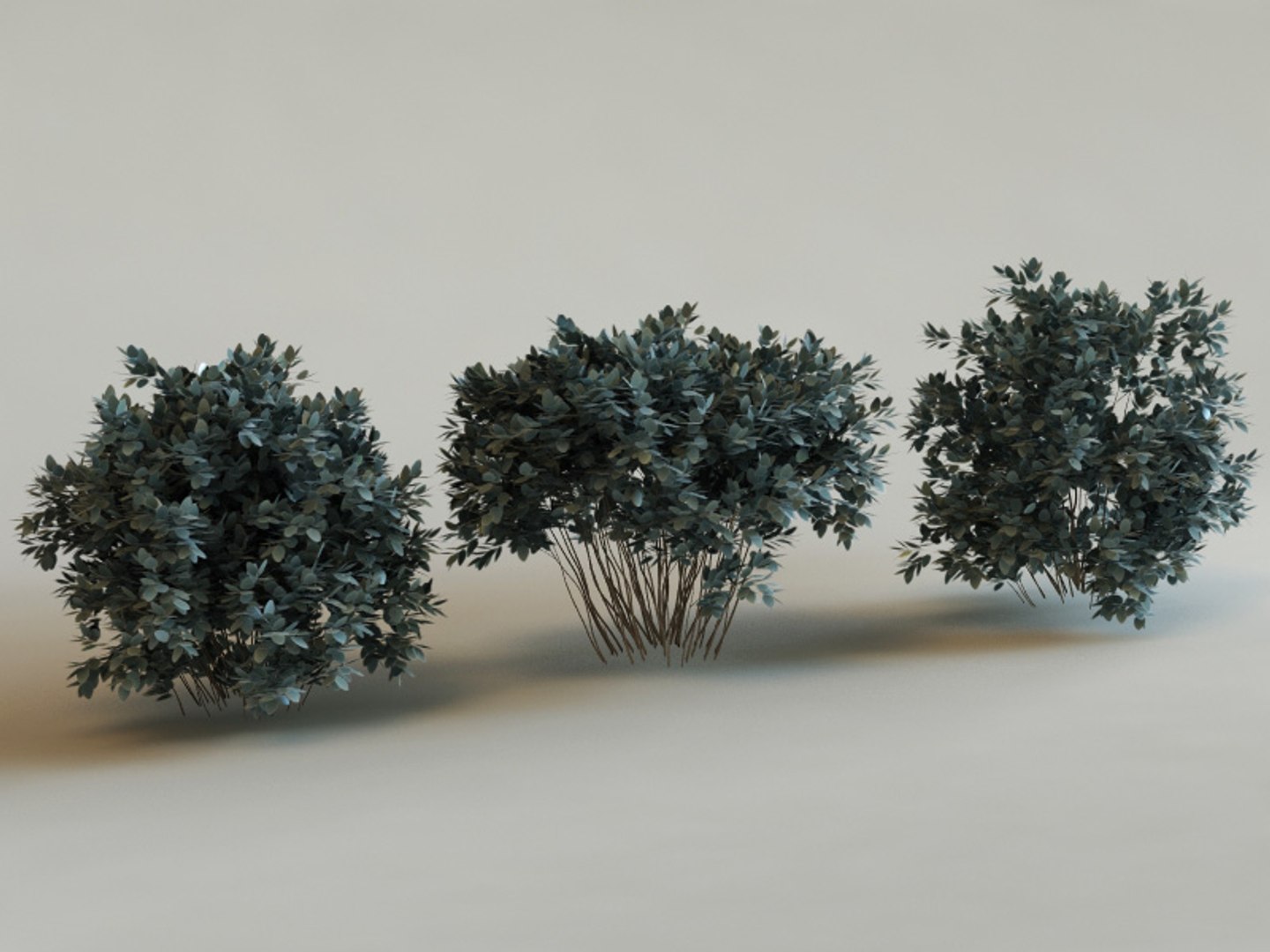 big plants collections 3d max https://p.turbosquid.com/ts-thumb/aT/u6cS9J/qtig5JSe/conocapus_electrus_sericeus/jpg/1223708061/1920x1080/fit_q87/496ff88d89eb57c5ebf64a639b28c12878101577/conocapus_electrus_sericeus.jpg