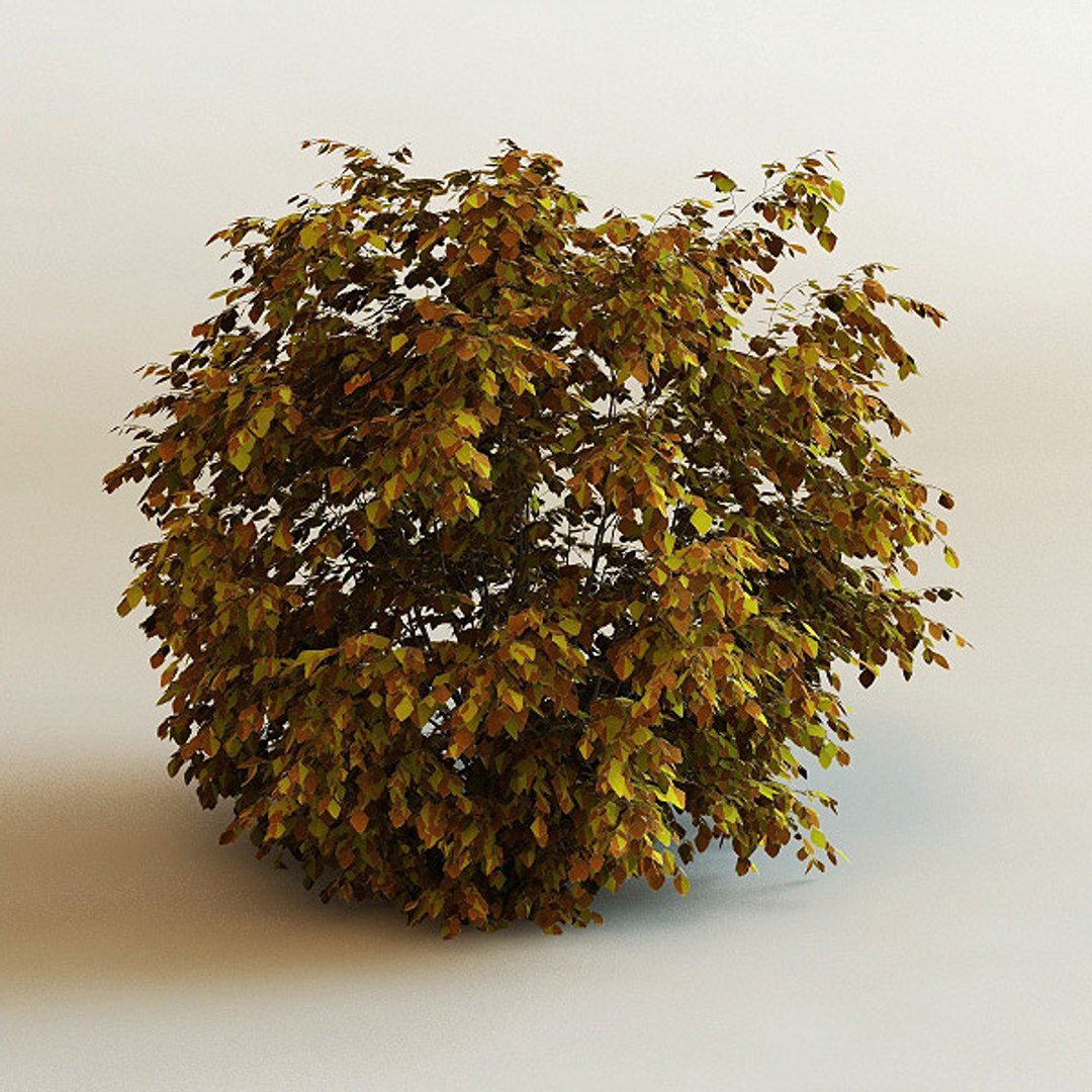 big plants collections 3d max https://p.turbosquid.com/ts-thumb/aT/u6cS9J/w6RMPKGe/outmn_bushs_1/jpg/1223709562/1920x1080/fit_q87/0d0271cab63bb8e6c83c7d30827fe15788663f00/outmn_bushs_1.jpg