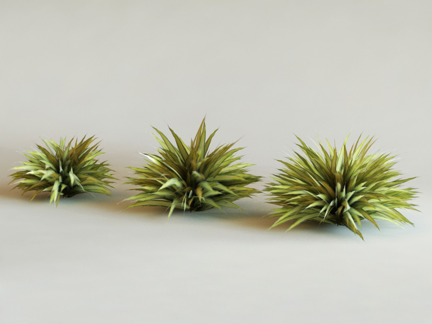 big plants collections 3d max https://p.turbosquid.com/ts-thumb/aT/u6cS9J/wCCzCCYx/daniella_tasmanica00/jpg/1223708068/1920x1080/fit_q87/13a844ca9f6ffa040cef0bc8698baed9acb13893/daniella_tasmanica00.jpg