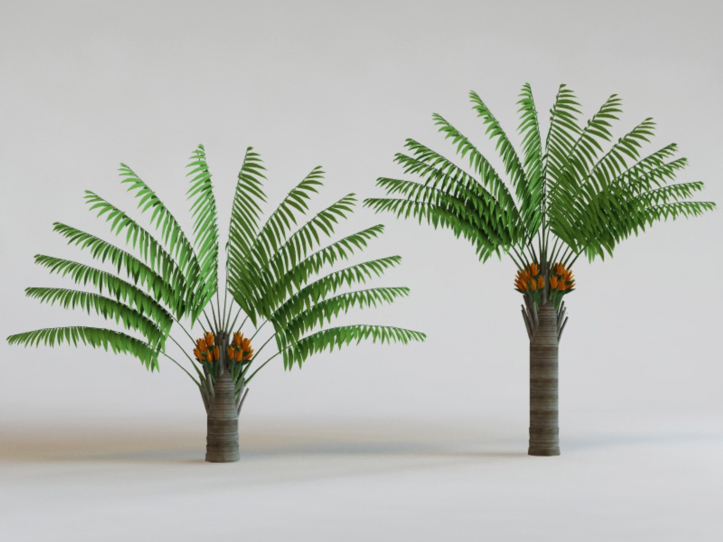 big plants collections 3d max https://p.turbosquid.com/ts-thumb/aT/u6cS9J/wnJ7xl4R/strelitzia_nicolai/jpg/1223709740/1920x1080/fit_q87/e2c102ef1478ddb8c35fcb6b4553d09ad48a63fe/strelitzia_nicolai.jpg