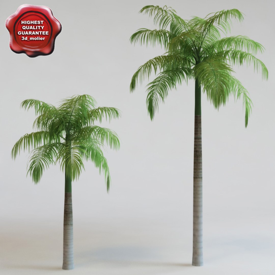 big plants collections 3d max https://p.turbosquid.com/ts-thumb/aT/u6cS9J/ySSmUHn7/roystoneaelata/jpg/1223709724/1920x1080/fit_q87/e99e4b4ce263772849620d49e4159db22234feea/roystoneaelata.jpg