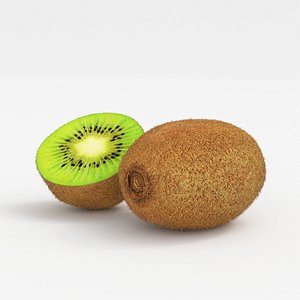 3D realistic kiwi fruit model