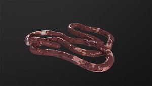 Intestines Pile Horror