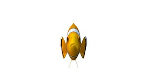 Realistic Clown Fish 3D Model Low-poly 3D model 3D model