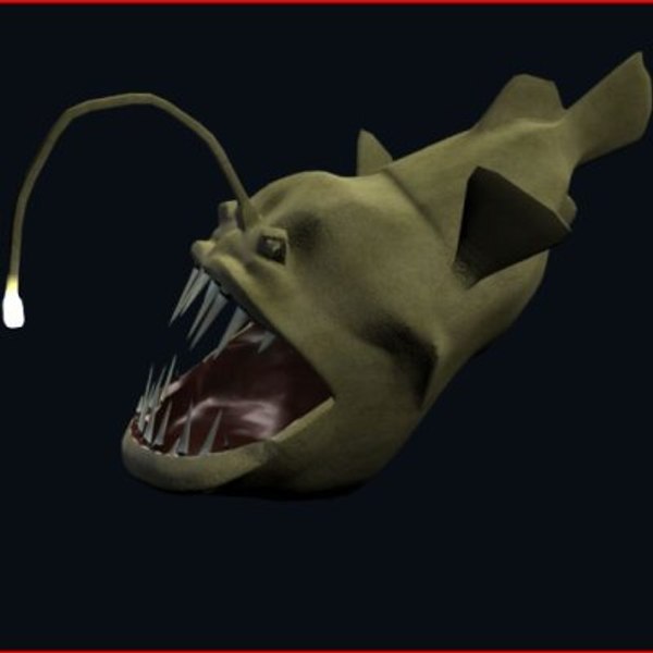 3d angler fish