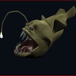 Angler Fish