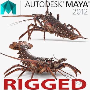 Langouste Rigged for Maya