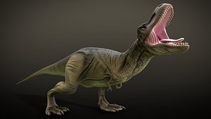 T Rex Dinosaur Rig and Animations