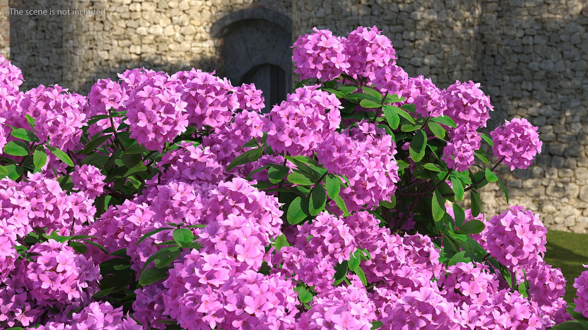 3D model Flowering Plants Collection 10 https://p.turbosquid.com/ts-thumb/aU/LdlOur/2u/floweringplantscollection10mb3dmodel047/jpg/1663181703/1920x1080/fit_q87/0ceef8fa2cebe9428cdbc1bea681558024e95669/floweringplantscollection10mb3dmodel047.jpg